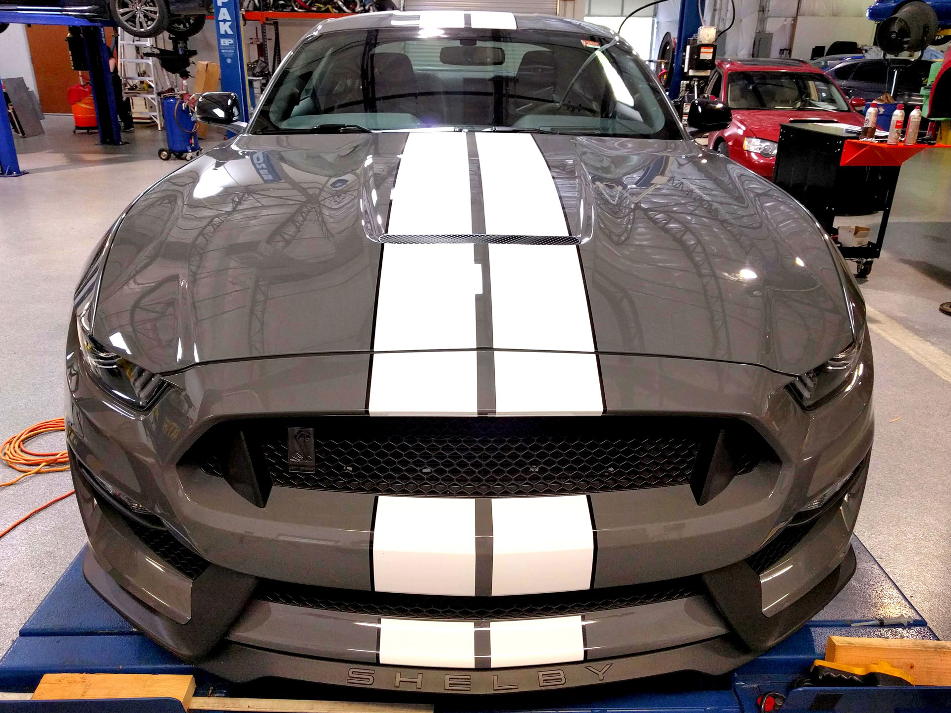 Ford Shelby GT350 Level 3 Paint Protection 3M Scotchgard Pro Series Clear Bra