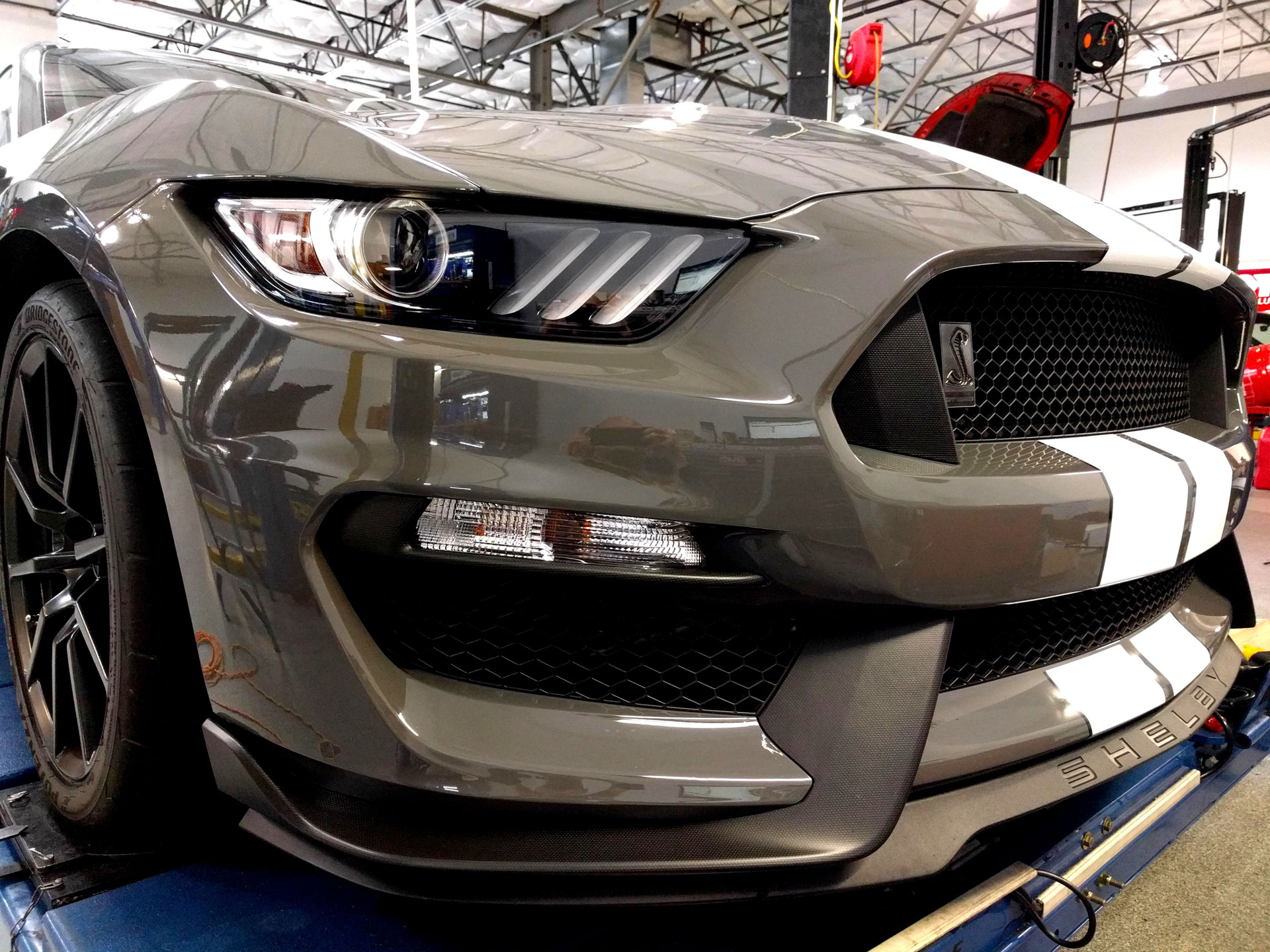 Ford Shelby GT350 Level 3 Paint Protection 3M Scotchgard Pro Series Clear Bra